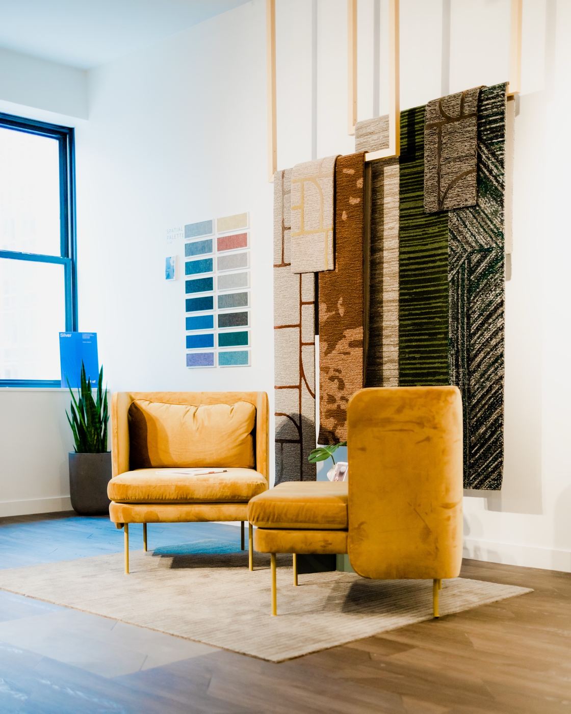 Brand photography by Sonder Advisory — marketing visuals for growing companies